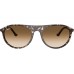 RAY BAN RB2215 1431/51